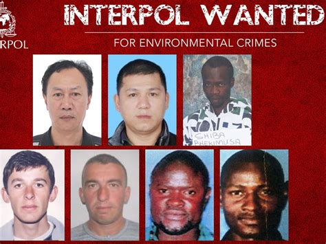 interpol most wanted list